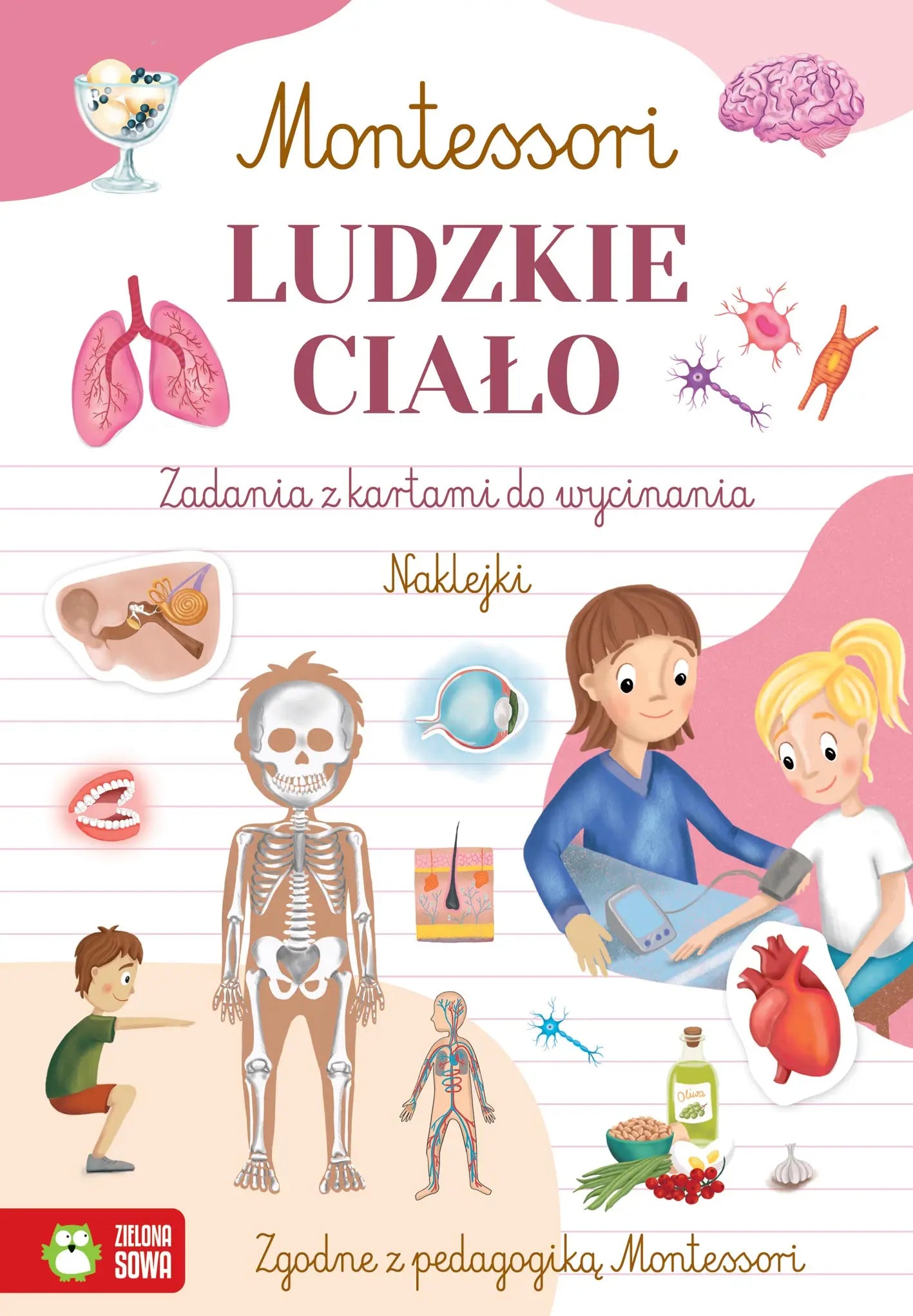 Montessori Ludzkie ciało 97057