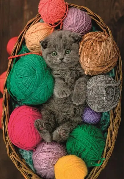 Puzzle 500 HQ Fluffy Kitten