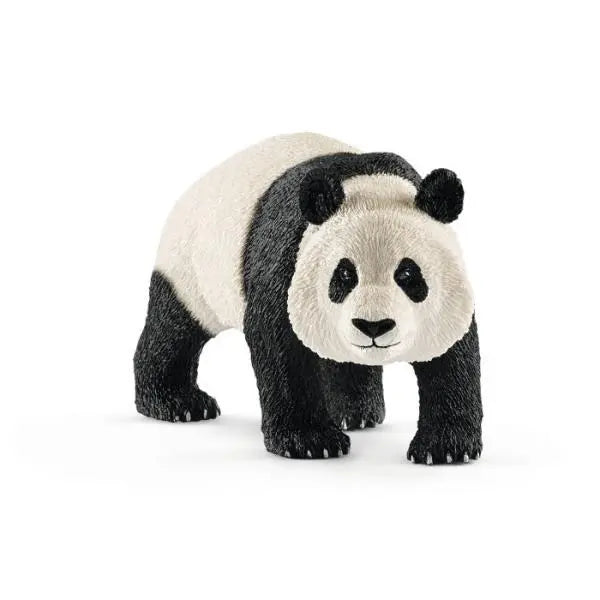 SLH panda wielka samiec 14772 38014