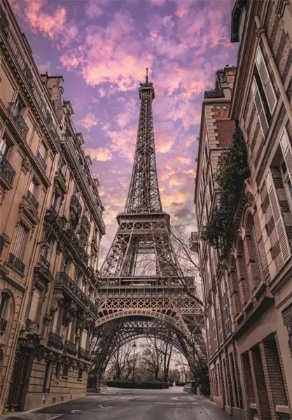 Puzzle 1500 Compact Paris Awakens