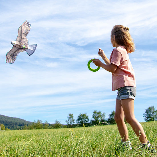 HABA Terra Kids latawiec Orzeł 306016