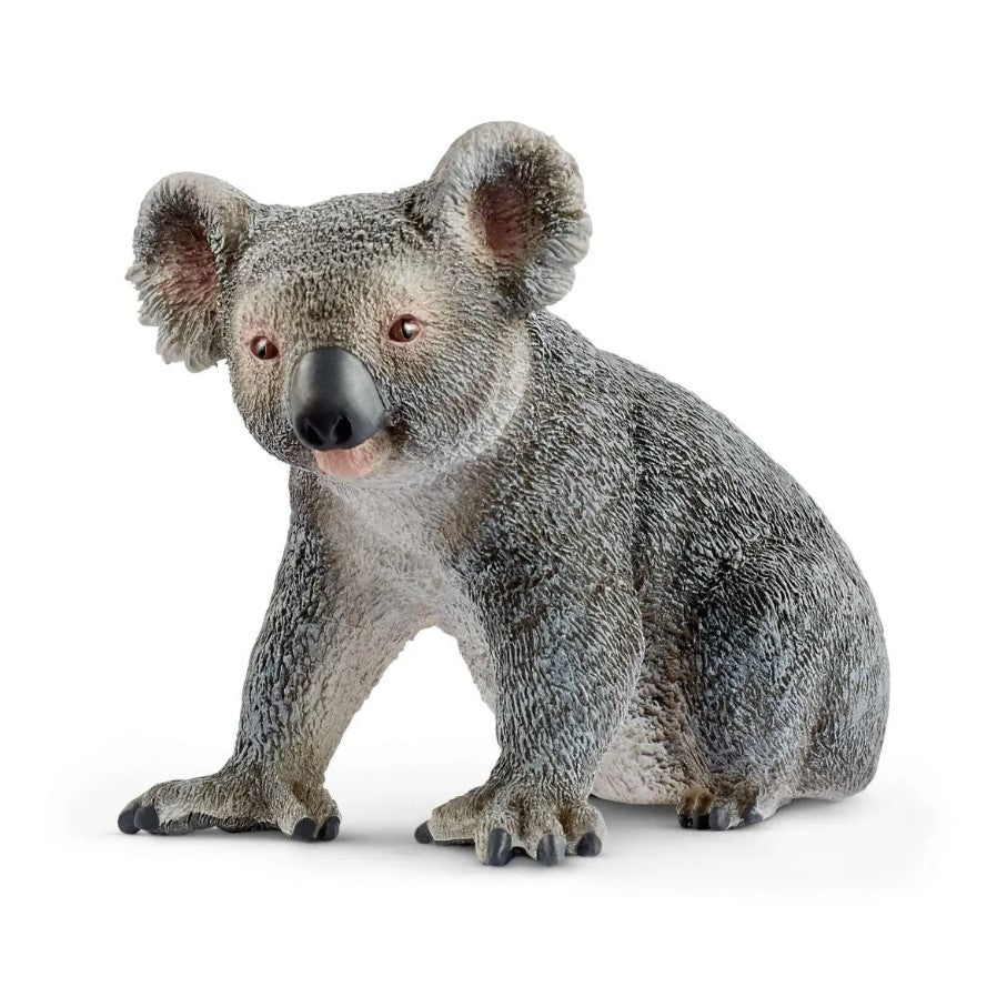 Schleich miś koala australijski