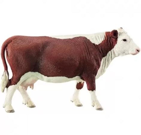 SLH krowa rasy Hereford 13867 28076