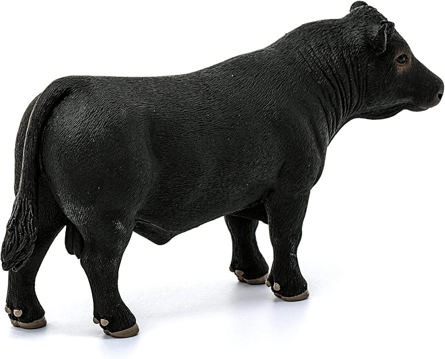 SLH krowa Aberdeen Angus 13879 29271