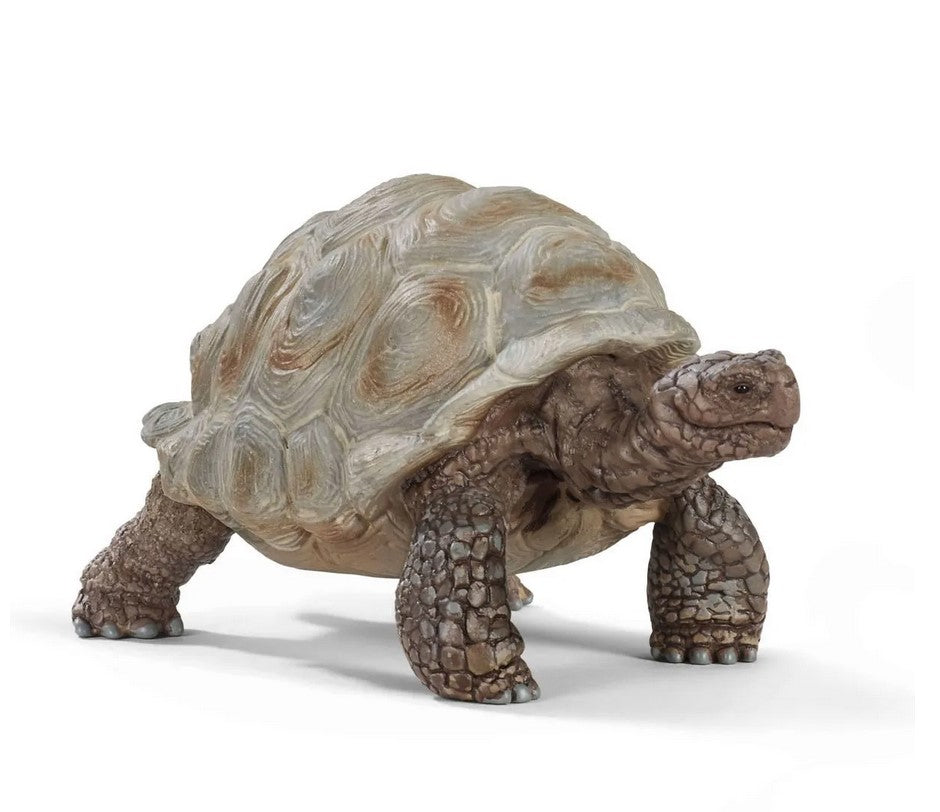 SLH żółw gigant 20' 14824 33667