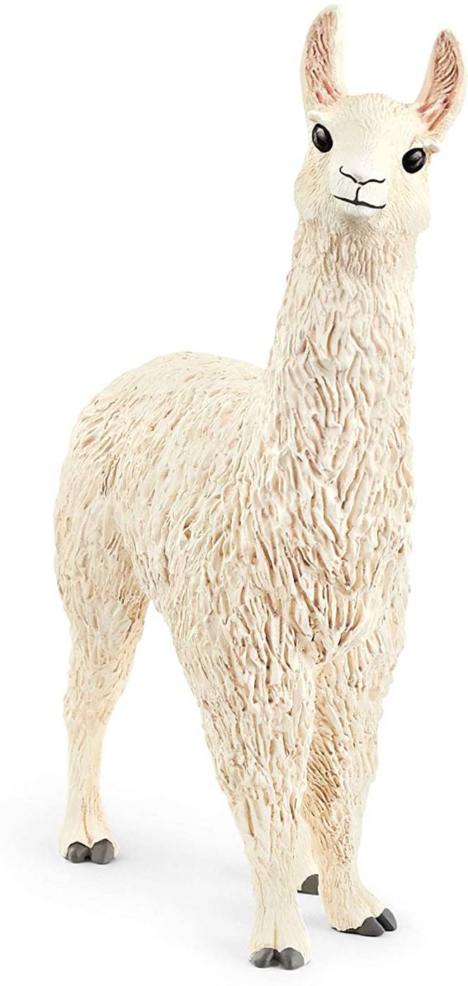 SLH lama 13920 42210