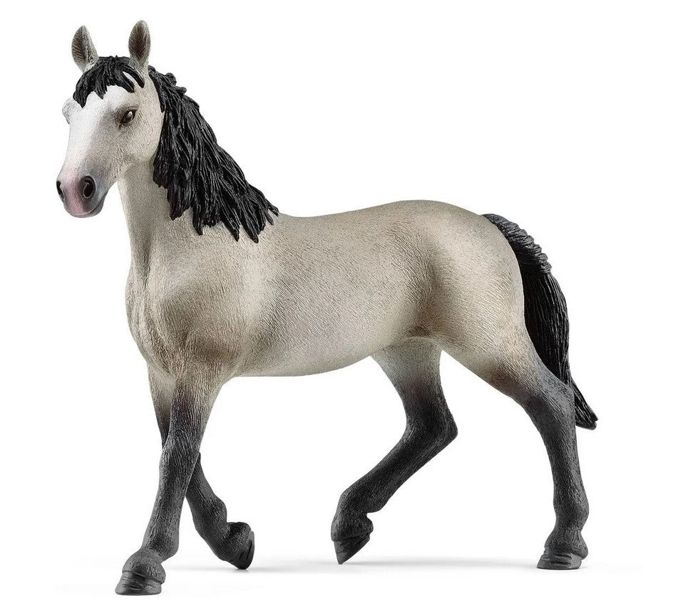 SLH klacz rasy Cheval deSelle Francais 13955 52255