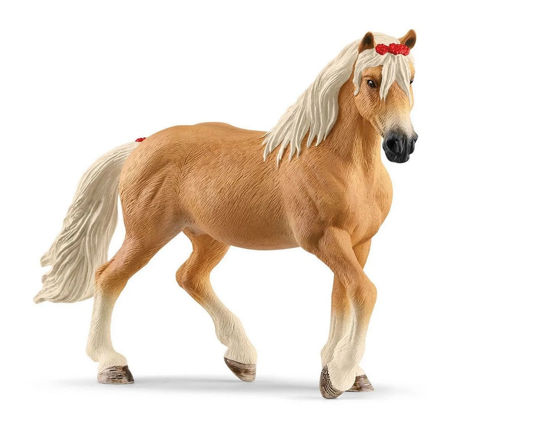SLH klacz rasy Haflinger 13950 57472