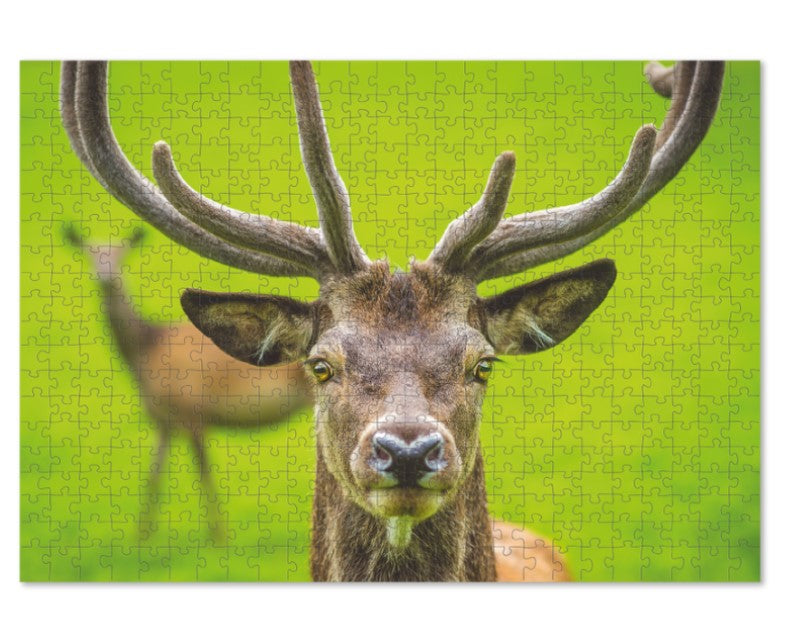Puzzle 500el Jeleń DOB3739 43739