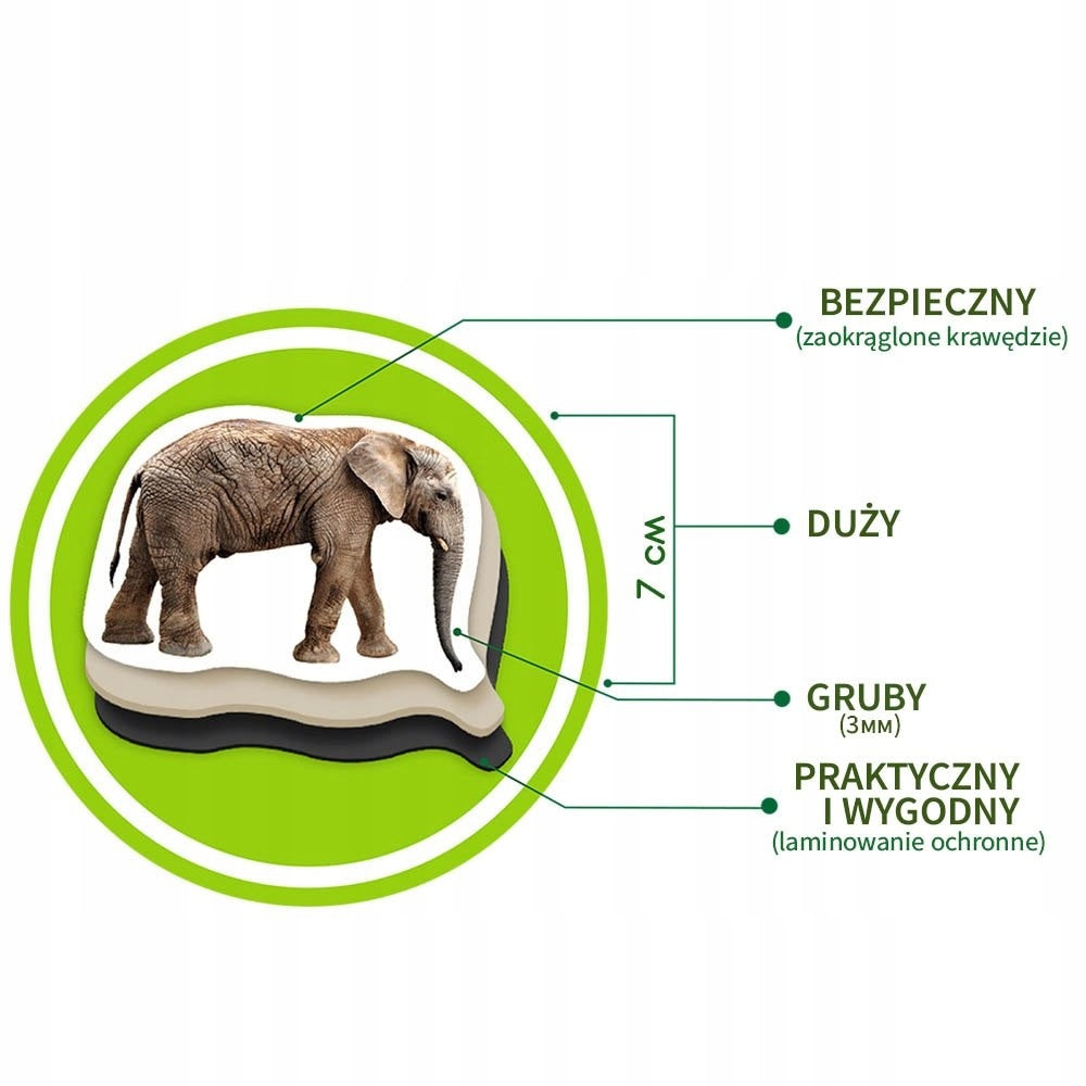 Zestaw magnesów ZOO MV6032-02 MV6032-02