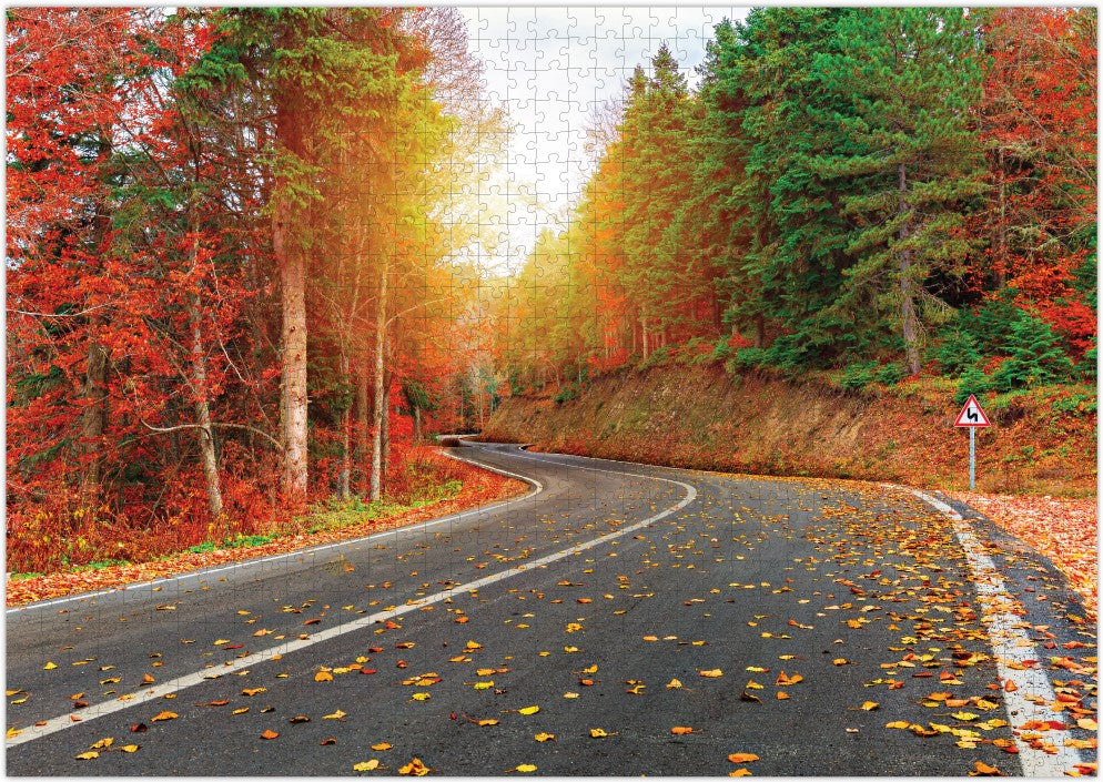 Puzzle 1000el Jesienny las Turc.DOB1132 01132