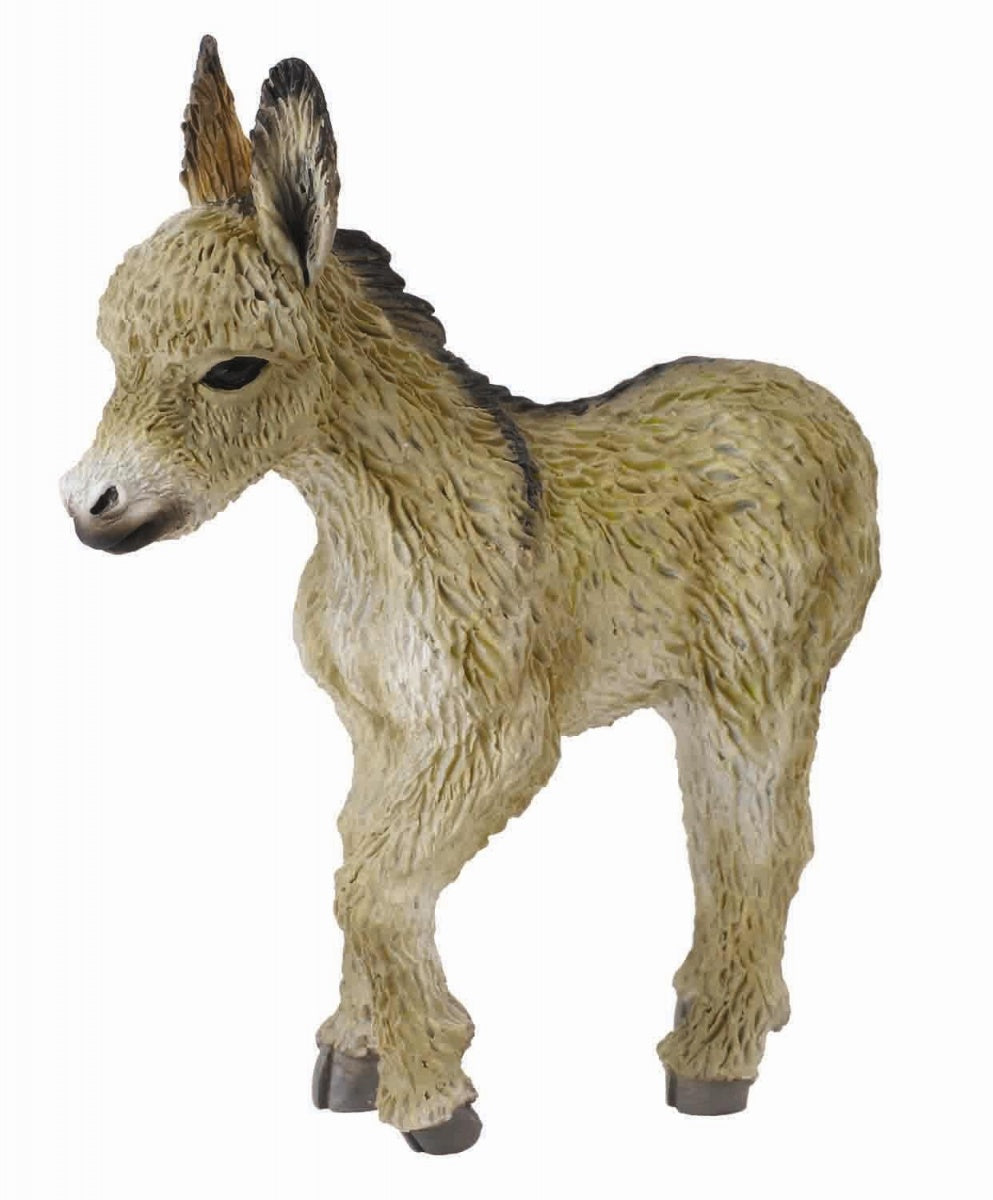 Collecta źrebie osła - idą 88409 84097