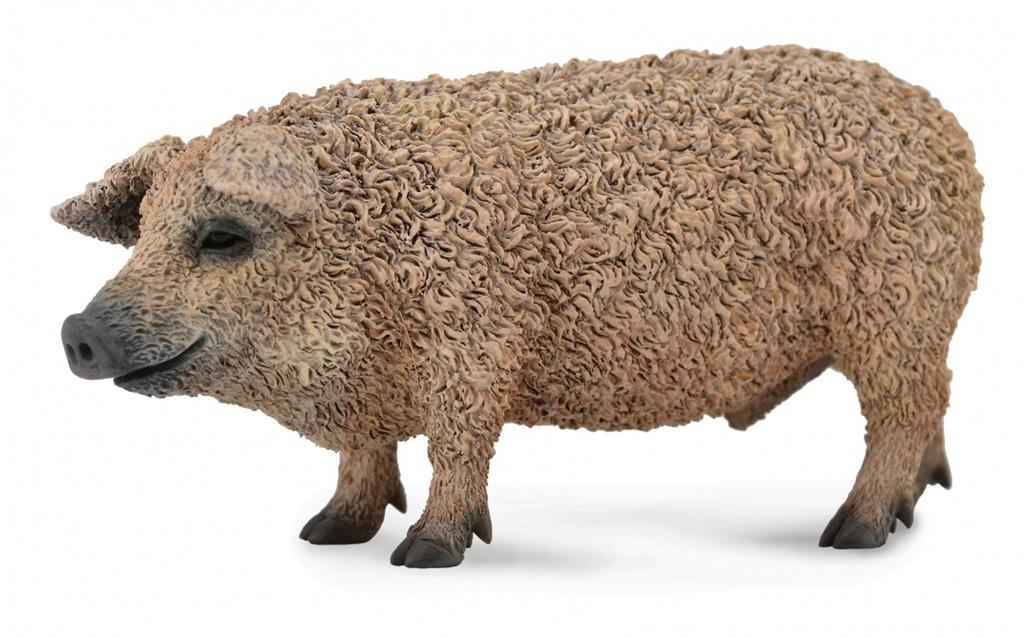 Collecta świnia mangalica 88674 86749