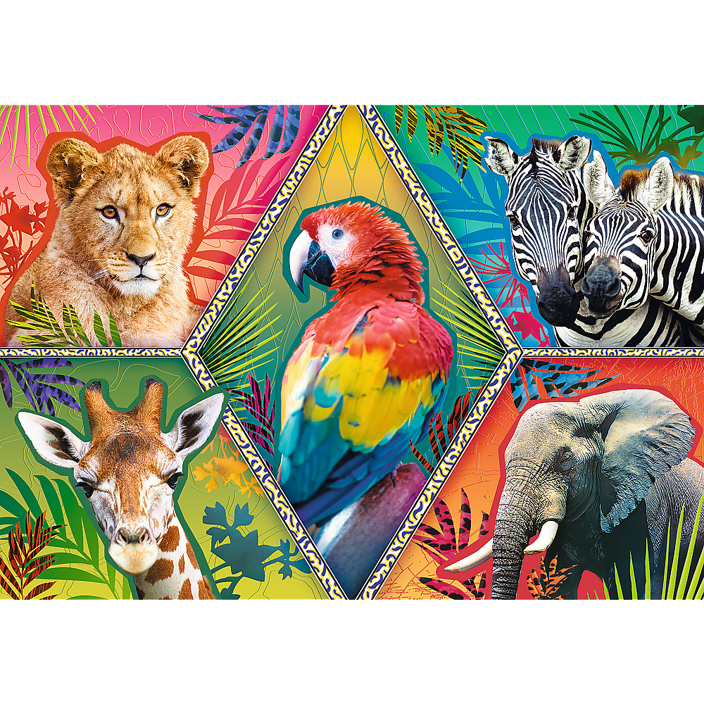 Puzzle 1000 Egzotyczne zwierzęta
