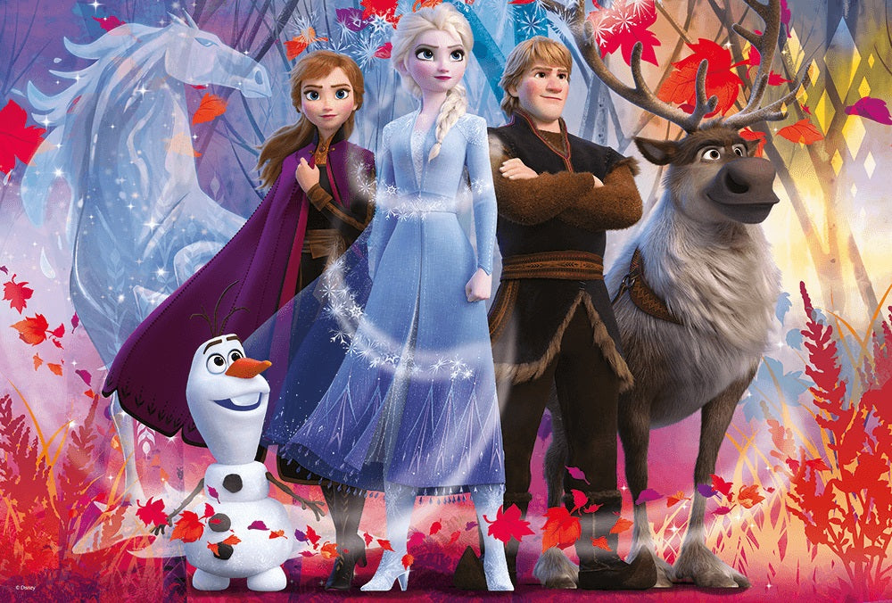 PUZZLE 260 W poszukiwaniu przygód/Frozen2 13250