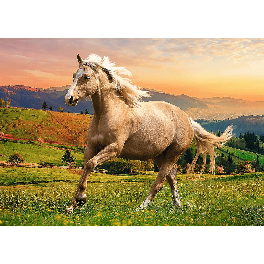 PUZZLE 500 Galop w popołudniowym słońcu 37396
