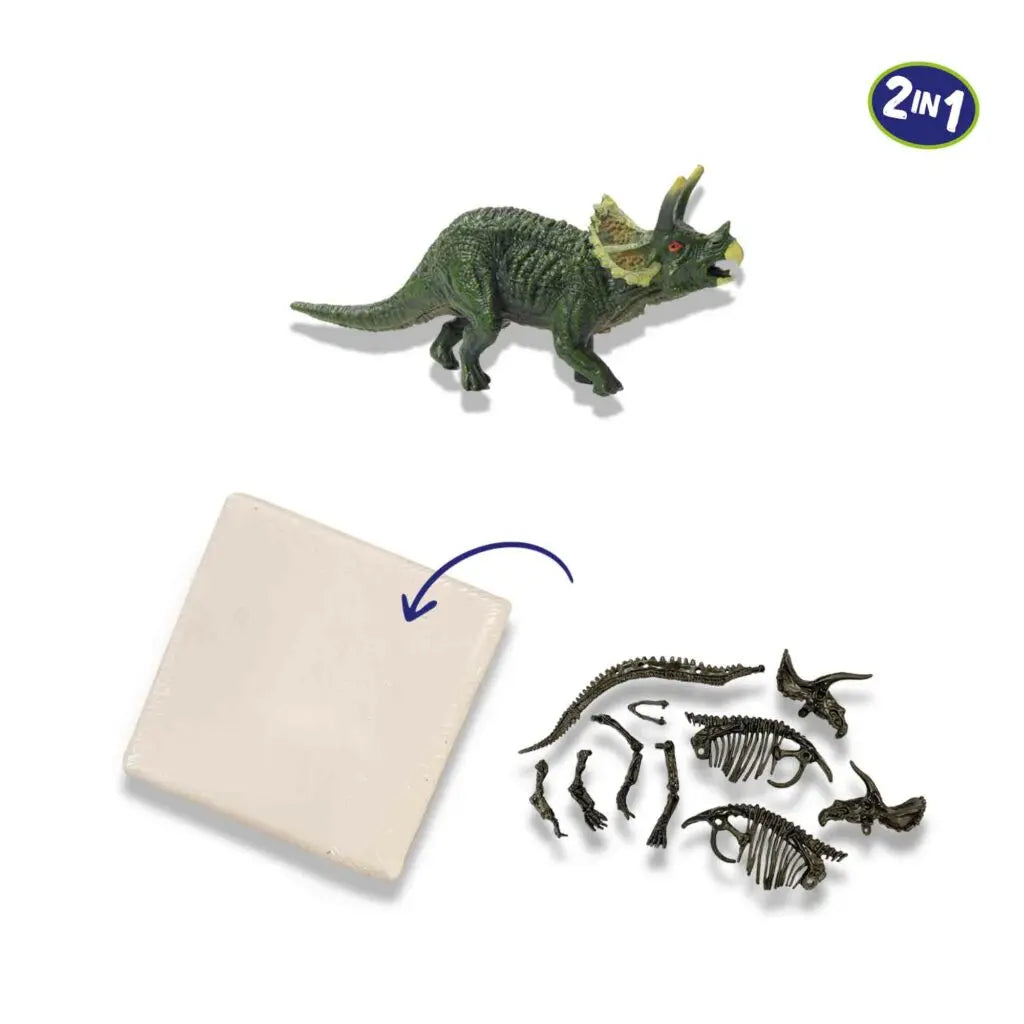Skamielina dinozaur Triceratops 2w1