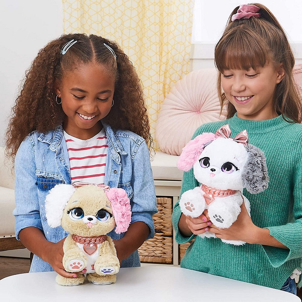 SPIN Present Pets-Fancy Pięknotka 6051197 /1