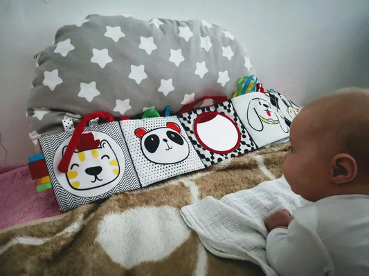 Moms care książeczka lusterko