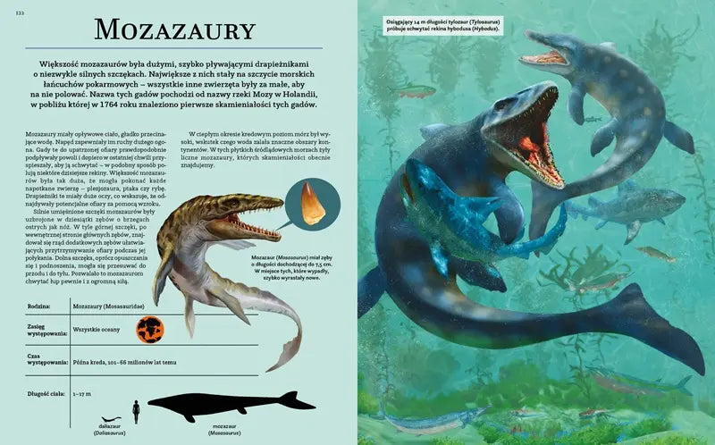 Książeczka - Nauka rządzi! Dinozaury: Prehistoryczni giganci
