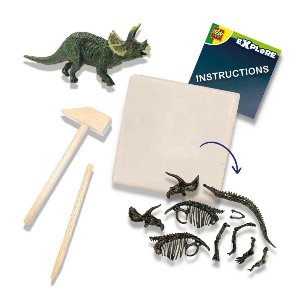 Skamielina dinozaur Triceratops 2w1