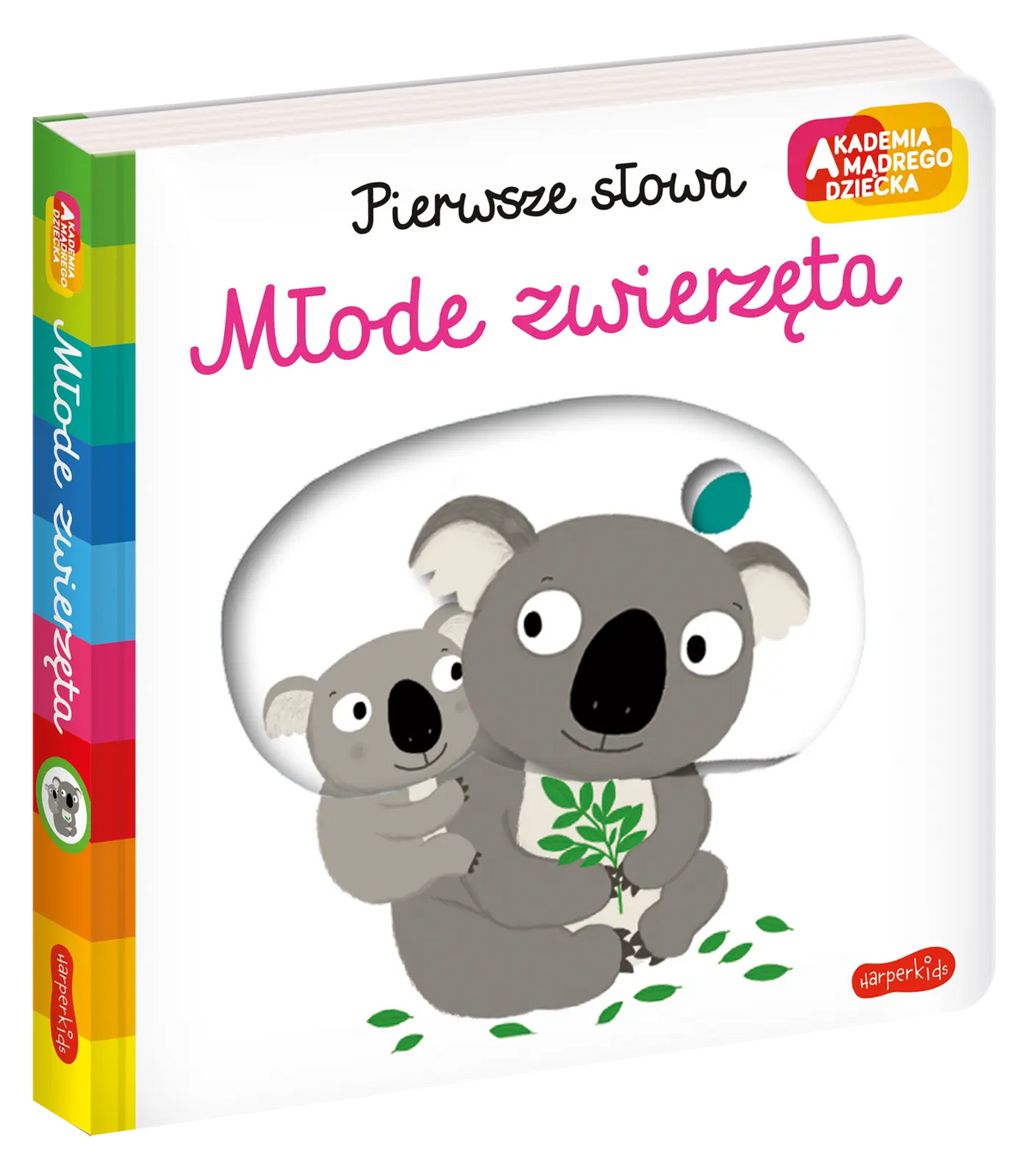 Akademia. Pierwsze słowa. Młode zwierzęta