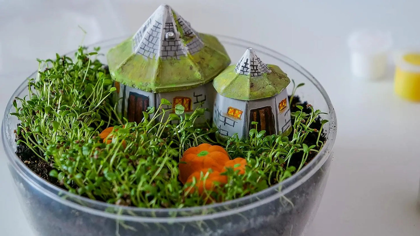 Harry potter terrarium