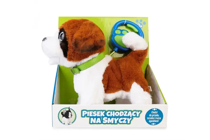 Piesek chodzący na smyczy