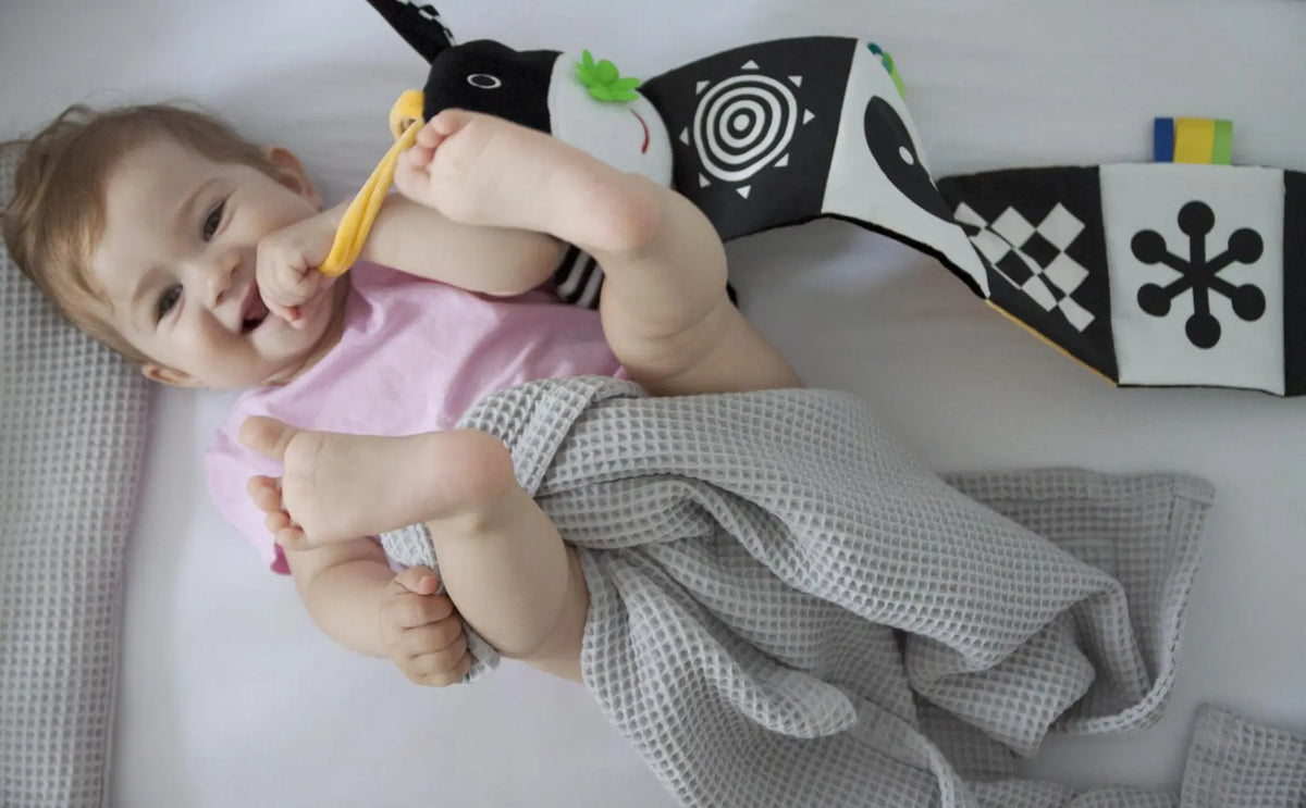 Moms care książeczka do łóżeczka króweczka