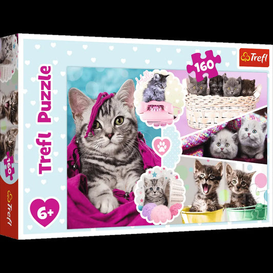 Puzzle 160 urocze kotki