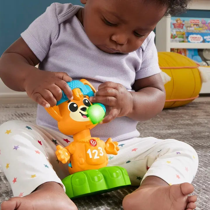 Fisher-price link squad lisek muzyczne przeciwieństwa