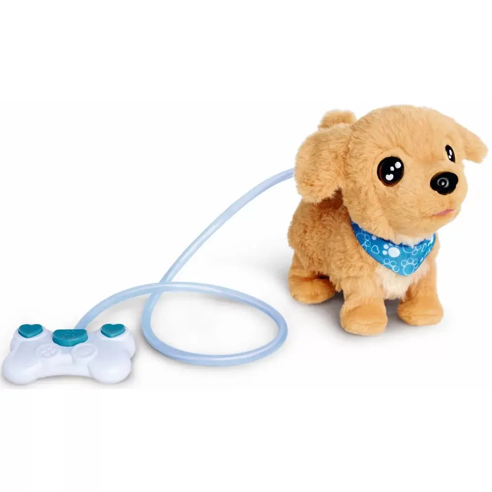 Chi chi love loomy golden retriever