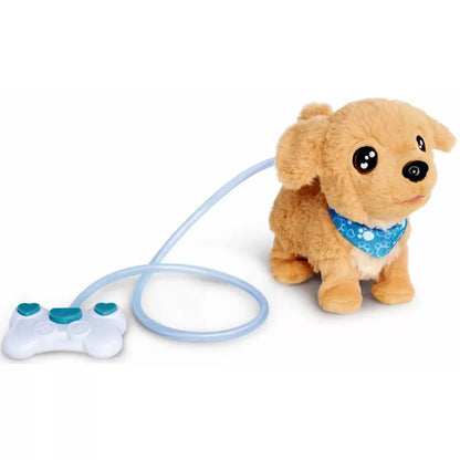 Chi chi love loomy golden retriever