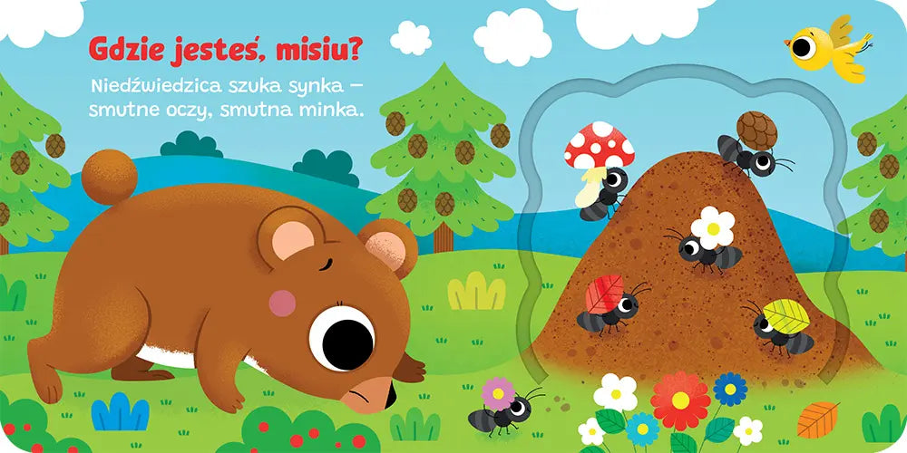 Książeczka -Otwórz okienko! Gdzie jesteś, misiu?