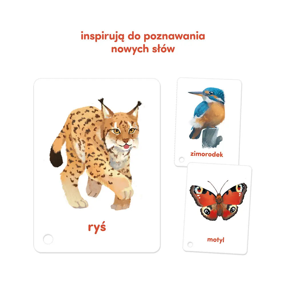 CzuCzu Karty obrazk.n/sznureczku Zwierzęta 62145