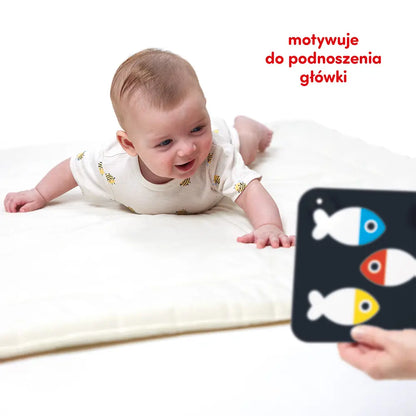 CzuCzu Duże karty kontrast.d/dzieci 0-3mies 62664