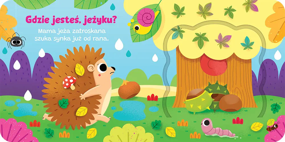Otwórz okienko! Gdzie jesteś, jeżyku?