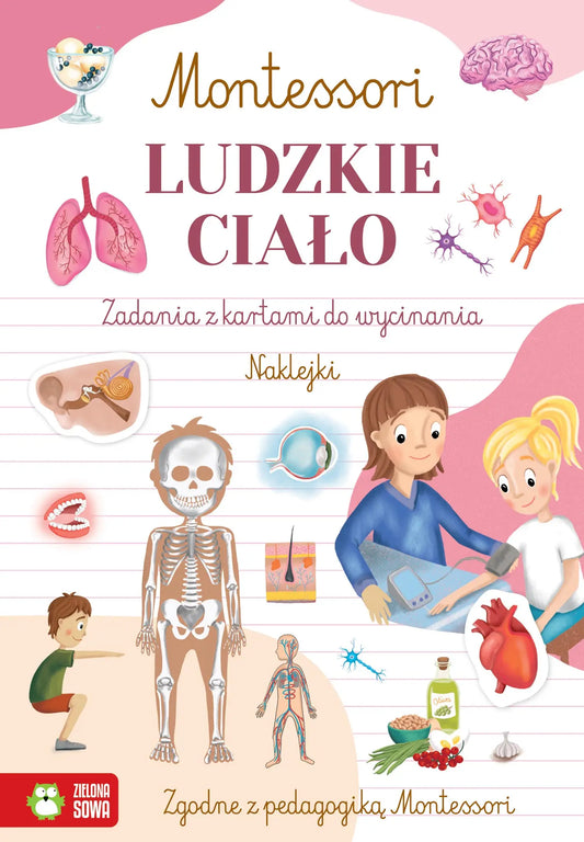 Montessori Ludzkie ciało 97057