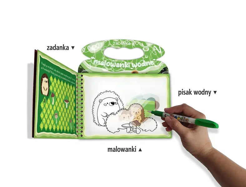 Zadanka i malowanki wodne. Zwierzęta leśne