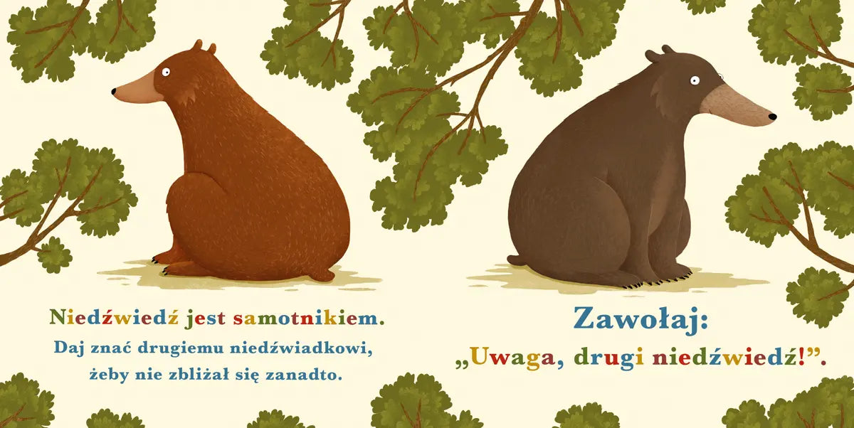 Rok w lesie niedźwiedź