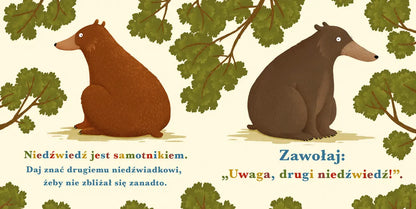 Rok w lesie niedźwiedź
