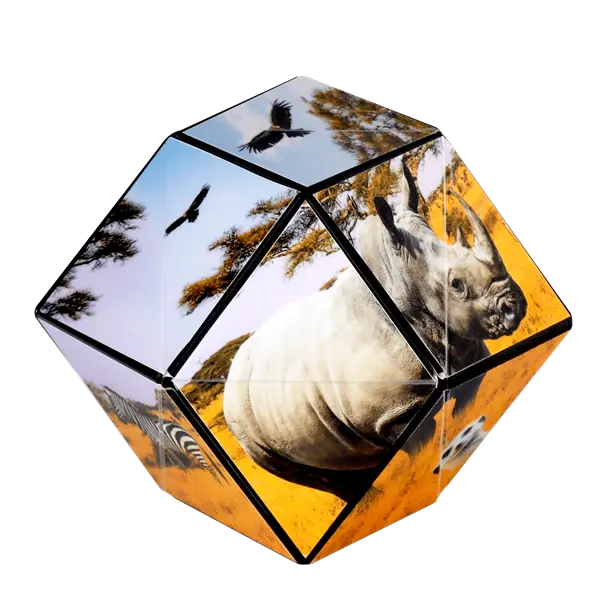 Shashibo Savanna