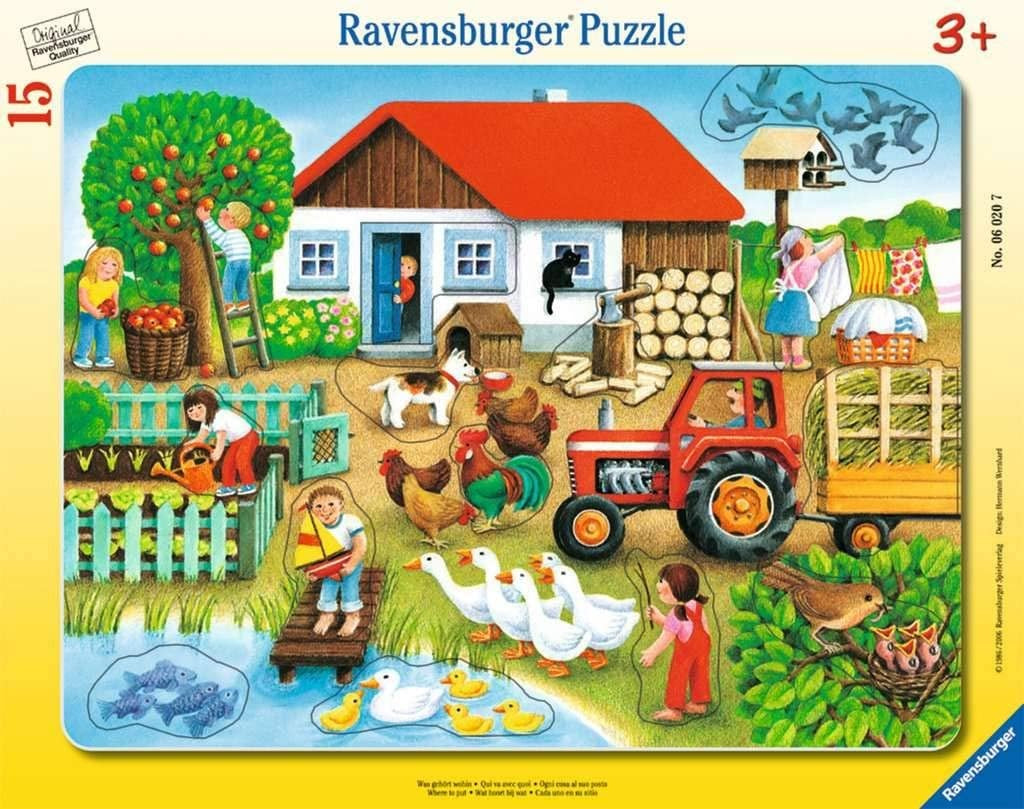 RAV puzzle ramk 15 Co tu pasuje? Na wsi 06020