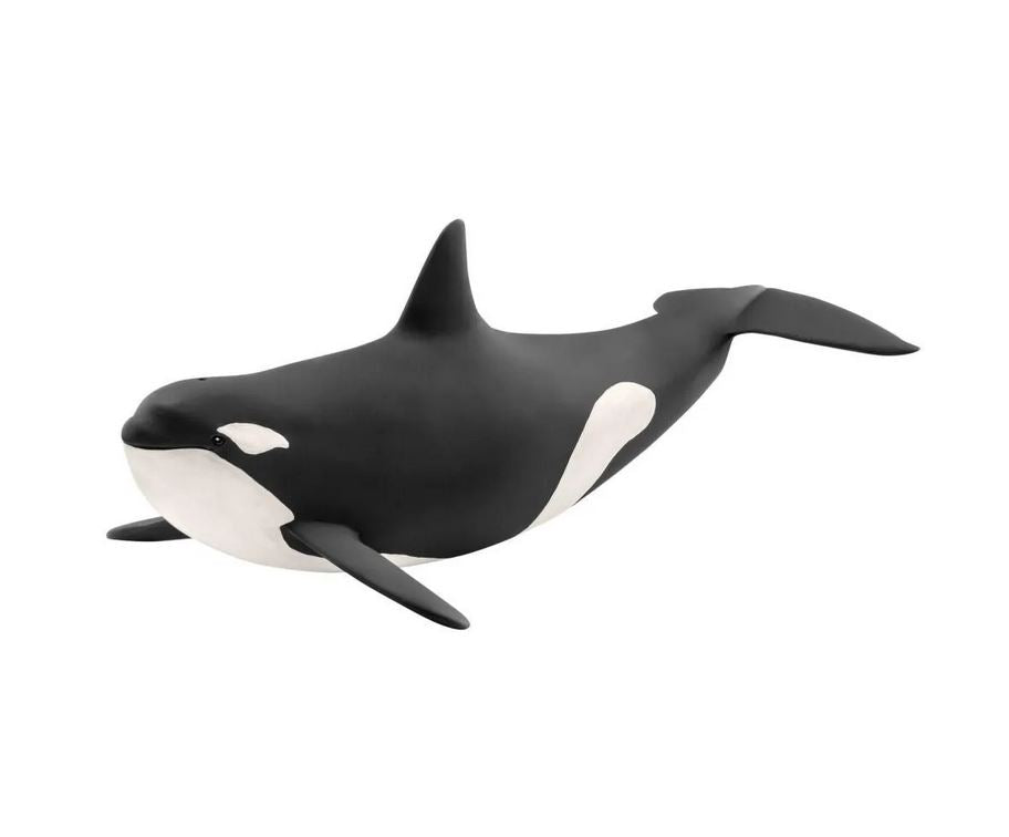 SLH orka oceaniczna 14807 20759