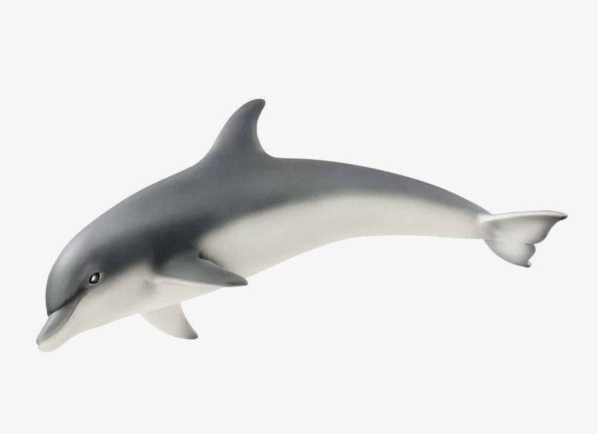 SLH delfin 14808 20766