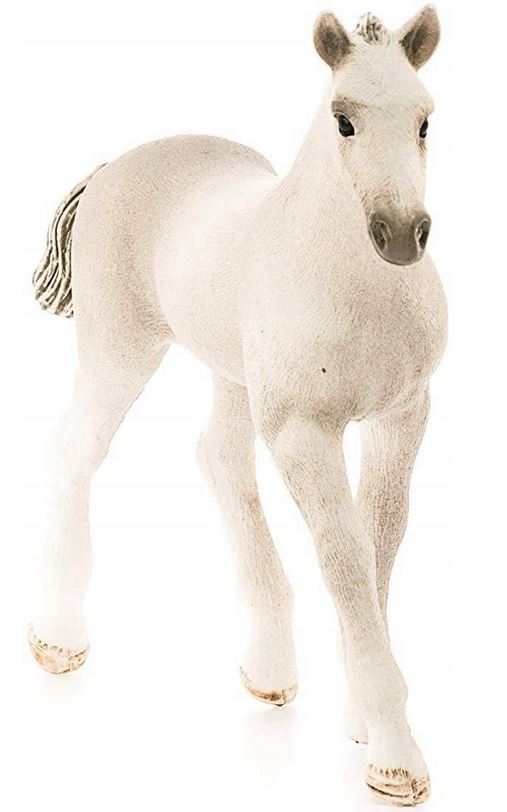 SLH koń holsztyński, źrebię 13860 21350