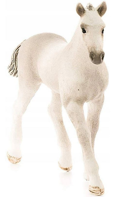 SLH koń holsztyński, źrebię 13860 21350