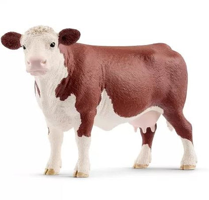 SLH krowa rasy Hereford 13867 28076