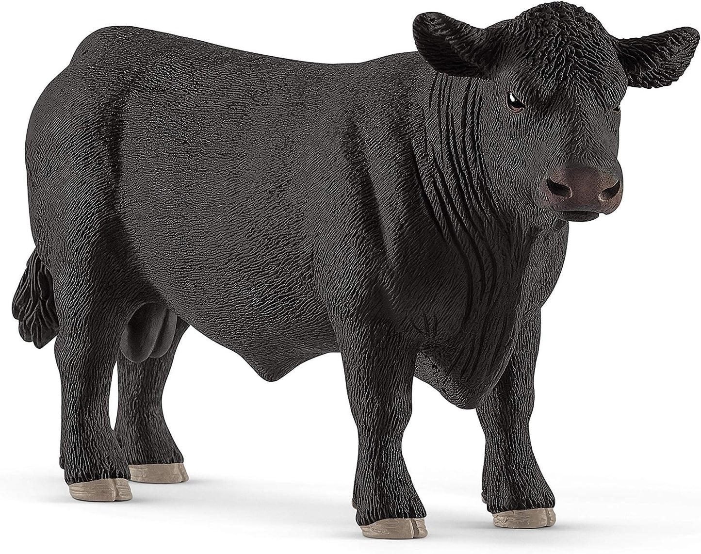 SLH krowa Aberdeen Angus 13879 29271