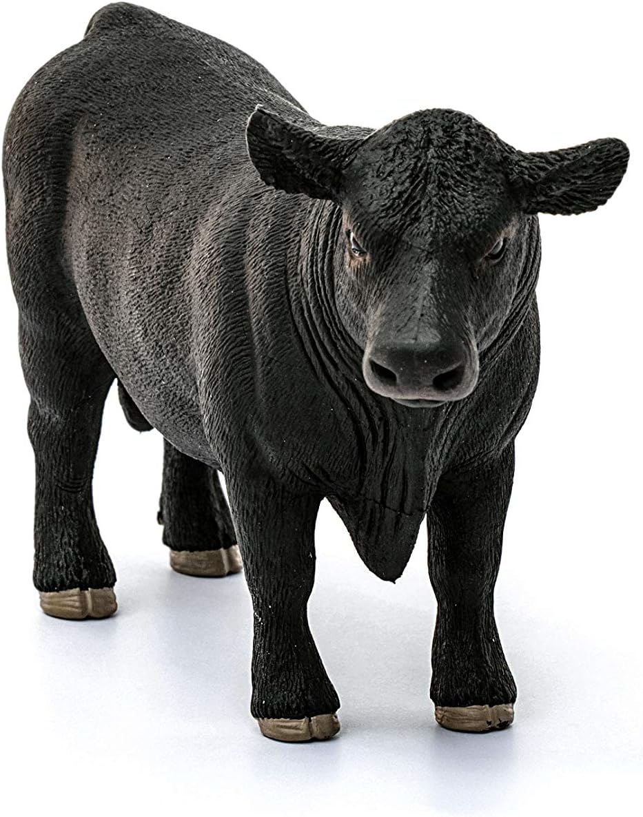 SLH krowa Aberdeen Angus 13879 29271
